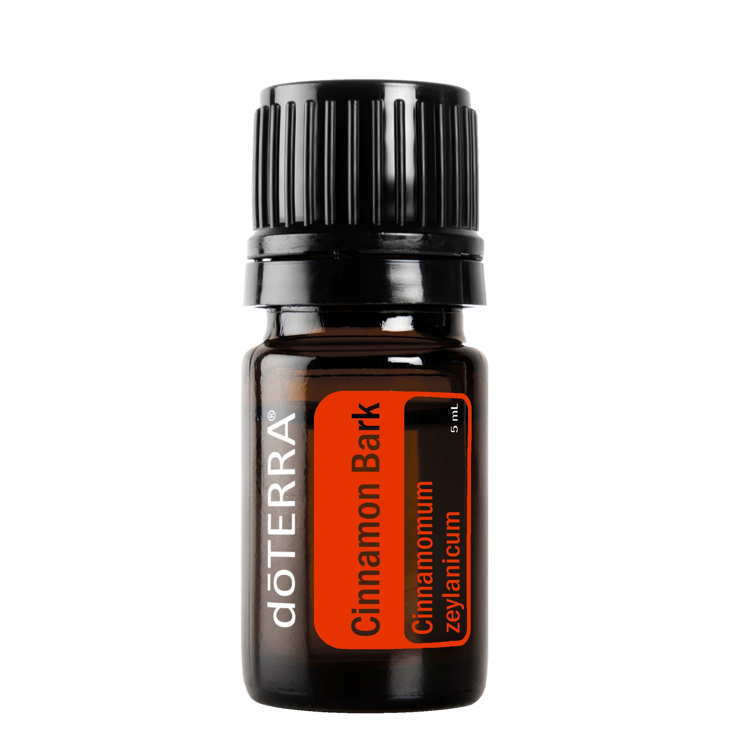 Cinnamon Bark Essential Oil 5ml