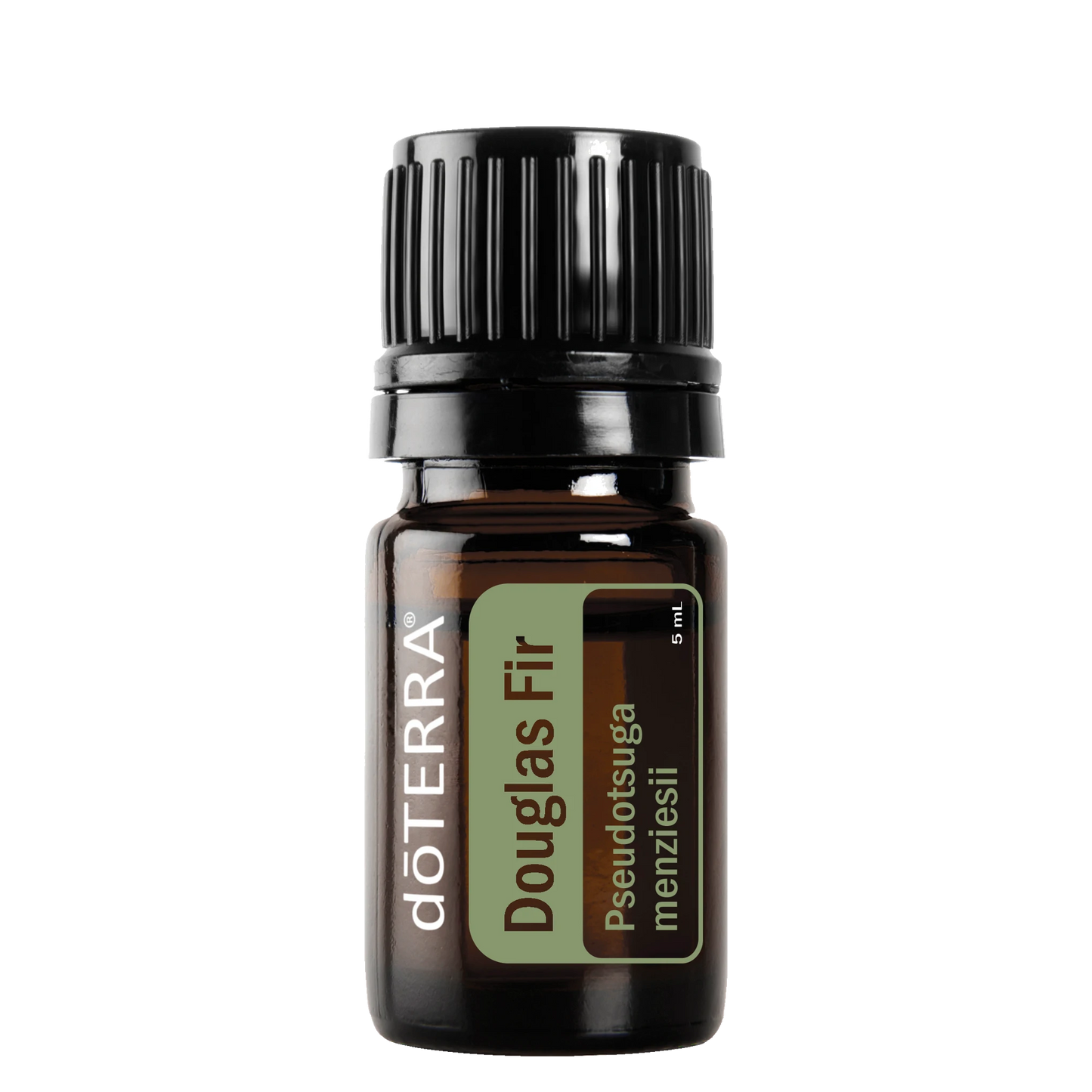 Douglas Fir Essential Oil 5ml