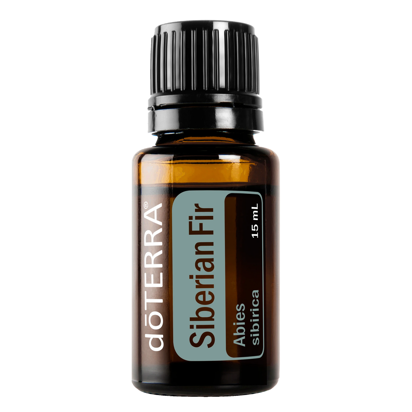 Siberian Fir Essential Oil 15ml