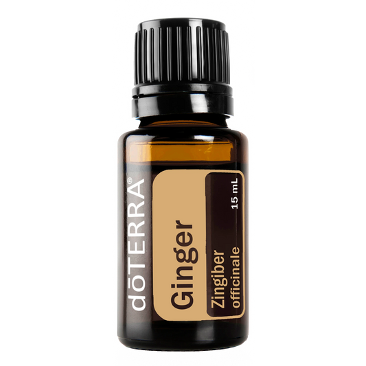 Ginger Essential Oil 15ml