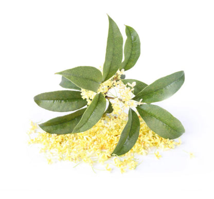 Osmanthus Touch Essential Oil 10ml Roll On