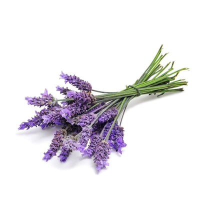 Lavender Touch Essential Oil 10ml Roll On