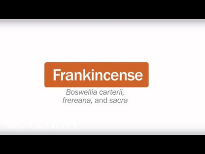 Frankincense Touch Essential Oil 10ml Roll On