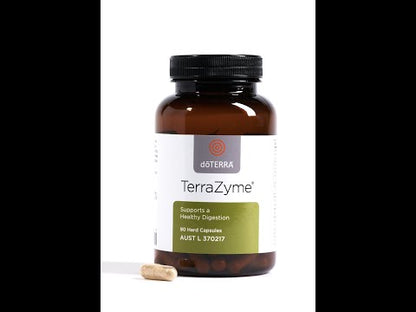 Terrazyme Healthy Digestion